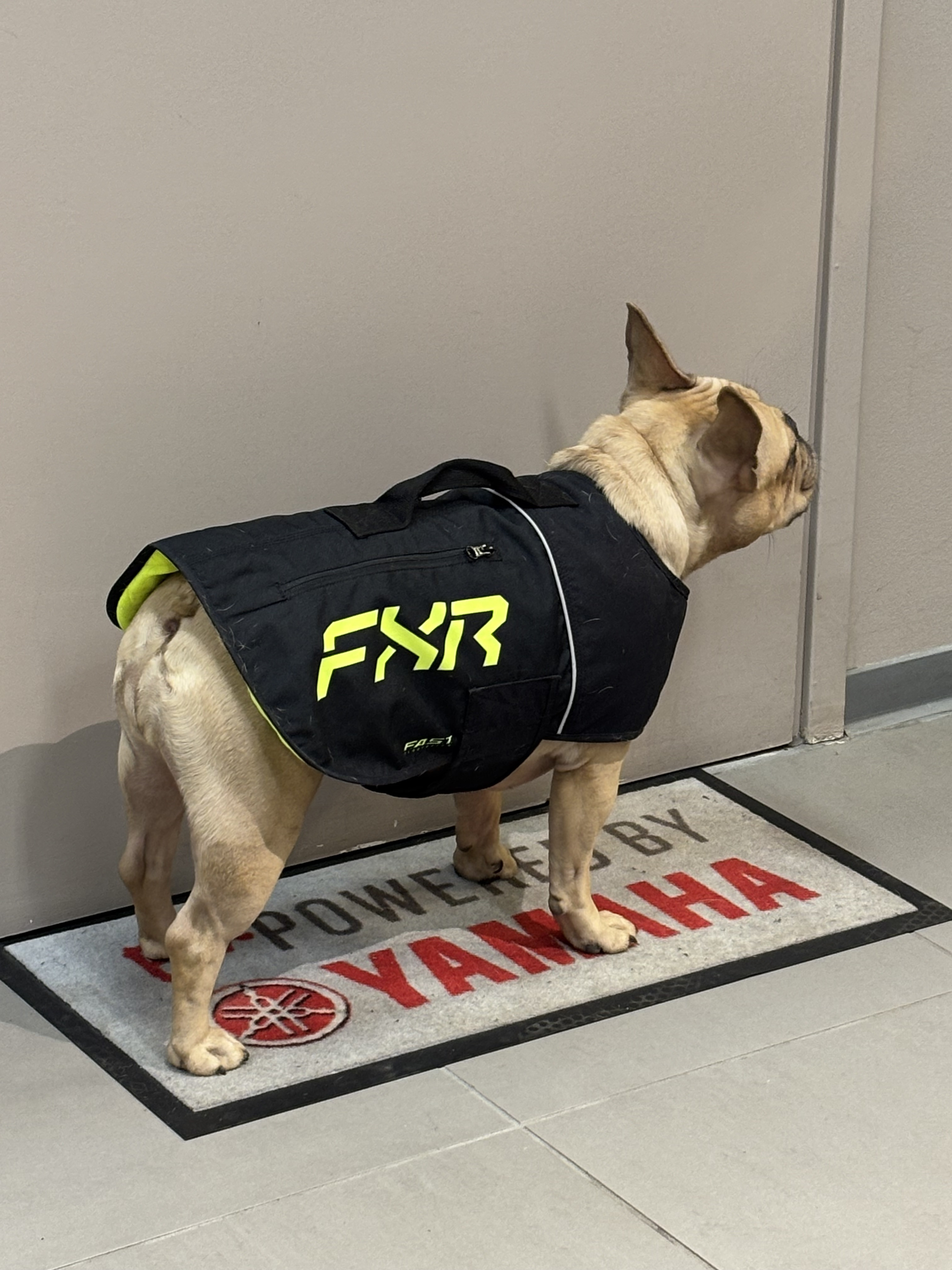 FXR DOG COAT