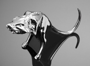 Rott