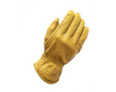 ACE GLOVES GC